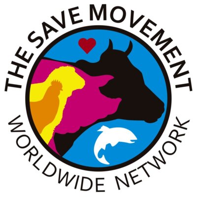 Logo   Black Text Transparent 1 