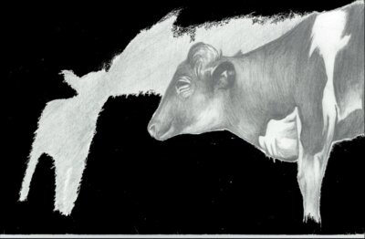 Cow and baby memories